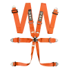 TRS Magnum 6 Point Harness - 2022 DATED