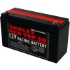 Varley Red Top 30 Racing Battery