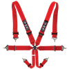 FIA Harnesses