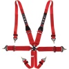 TRS Magnum 6 Point HANS Harness - 2022 DATED