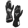 ONE Evo X Gloves my2024