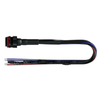 AIM 37 Pin Loom