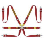 Sabelt Harness Silver Endurance Fia8853-2016  Saloon - Image 3