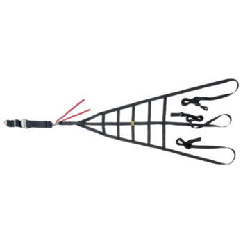 Professional Racing Net