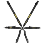 Schroth Profi XLT 6-Point Harness