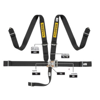 Sabelt Harness Sfi16.1 Saloon 2