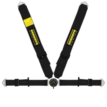 Schroth Caterham II ASM 4-point Harness - 3x2