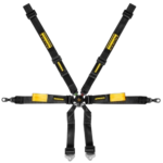Schroth Enduro 6-Point Harness - 2x2