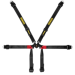 Schroth FHR Formula 6-point Harness - 2x2