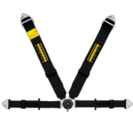 Schroth Profi II ASM 4-point Harness
