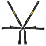 Schroth Profi Porsche 6-point Harness - 2x2