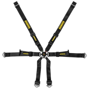 Schroth Profi Porsche 6-point Harness - 2x2