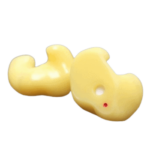 Autotel Hearing Protection earpieces
