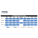 Pagid RSH Racing Brake Pads - 05